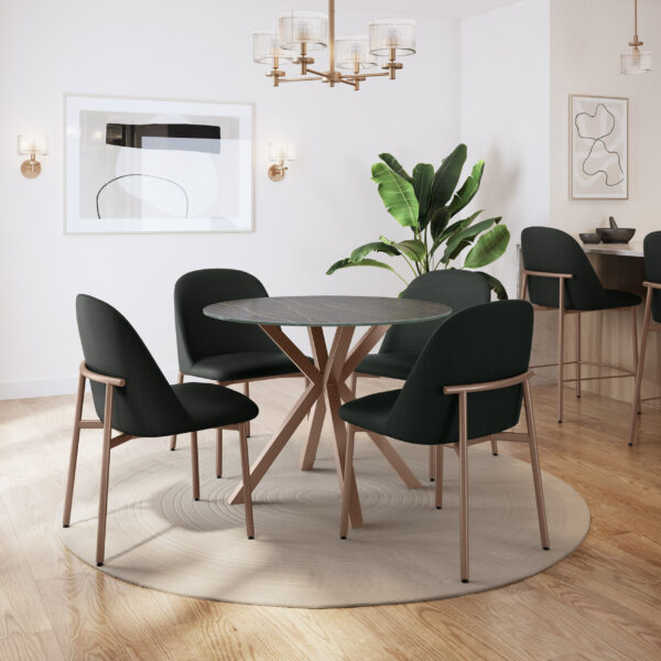 Luongo Chair by Amisco - Image 3