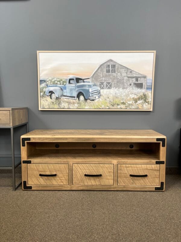 Saratoga 60" Entertainment Unit by Handstone - Image 4